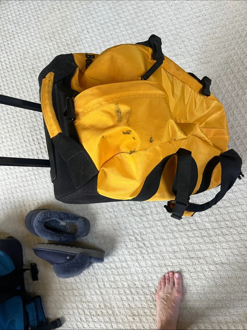 L.L. Bean sturdy canvas